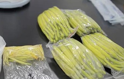 饭堂承包公司天游注册登录告诉您：黄花菜的正确食用方法及储存方法